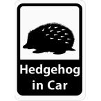 Hedgehog in Car [ еж ] автомобильный стикер ( магнит ) s15