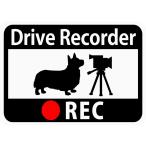  регистратор пути (drive recorder) установка стикер [ Corgi . видео камера ] ( магнит ) s48