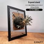  заказ размер возможность экстракт хлеб do подставка 25.5cm×34.8cm настольный дисплей подставка декоративное растение .. брелок для ключа .. бесплатная доставка железный смешанные товары 