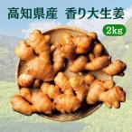 �N�x���̂܂ܐV���i ���I ���Y 2kg ���m���Y �����傤�� ����吶�I �������� �Y�n���� �V�N ���傤�� �Ɩ��p �v���d�l �W���W���[ �͂����I �H�p �� ���