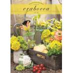 カタログギフト [4000円コース]　erabocca　パール