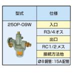 サンダイヤ　ストレーナバルブ　250P-09W