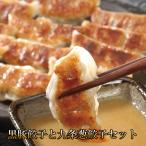 餃子 お取り寄せ ギョウザ 送料無料 中華 人気 ジューシー餃子 味噌ダレ 黒豚餃子と九条葱餃子セット化粧箱入り お祝い 内祝い お返し 送料無料 母の日 2025