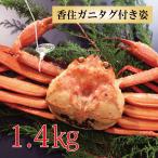 カニ かに 蟹 紅ズワイガニ 香住ガニ タグ付き約1.4kg 約700g 2杯 紅ずわいがに ベニズワイガニ 海鮮 お取り寄せ 送料無料 国産 香住産 母の日