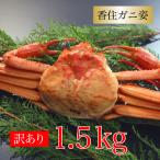 ショッピングかに カニ かに 蟹 訳あり 紅ズワイガニ 訳あり 香住ガニ 約1.5kg  約500g 3杯 ベニズワイガニ 海鮮 プレゼント 送料無料 国産 ボイル お取り寄せ 母の日