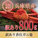 カニ かに 蟹 訳あり 紅ズワイガニ 訳あり 香住ガニ 約800ｇ1杯 ベニズワイガニ 海鮮 プレゼント 送料無料 産地直送 国産 贈答 お取り寄せ 母の日