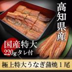 うなぎ 国産 蒲焼き 国産 高知県産 極上特大うなぎ蒲焼220ｇ×1尾 鰻 プレゼント 土用丑の日 贈り物 お礼 お祝い お返し お取り寄せ 海鮮グルメ 食べ物 お歳暮