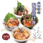 海鮮丼 漬け丼 高知  海鮮丼の具 4種