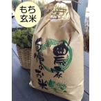 もち玄米10kg 　はぜかけ米(天日干し・自然乾燥)　石川ファーム自然栽培米/無農薬 R5年