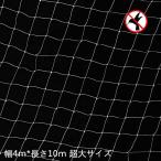 防鳥ネット ベランダ鳥よけネット 幅4m×長さ10m カラス 鳩対策防鳥網 果樹守りや野菜栽培や防獣ネット (白　透明色 幅4m×縦10m)