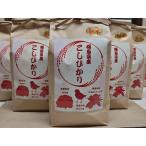 福島県 会津産 コシヒカリ 新米 精白米 10kg 送料無料 クリームショップ