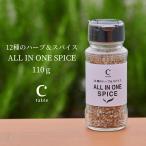 P10倍 スパイス アウトドア オリーブリーフが薫る ALL IN ONE SPICE 110g アウトドア スパイス 調味料 BBQ 肉 野菜 魚 万能 ステーキ オリーブオイル