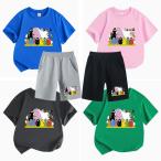  Barbapapa barbapapa ребенок одежда короткий рукав футболка мужчина девочка детская одежда ученик начальной школы день рождения сопутствующие товары семья одежда - Thanksgiving. день ребенок к подарок s форель подарок tops 