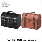 収納ボックス フタ付き おしゃれ 奥行20 幅30 マルチ ボックス ディスプレイ トランク IW-875 IW-275