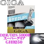 カーメイト GIGA 純正交換HIDバルブ GHB250 スーパークリア 5000K D2R/D2S共通