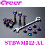 DIGICAM STBWM512-AU チタンステアリングボルト ワッシャー付き M5 12mm 64チタン オーロラカラー ステアリング デジキャン