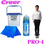 プロスタッフ PROSTAFF 手洗い洗車4点セット