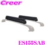 【在庫あり即納!!】TERZO テルッツオ ES155SAB スキースノーボードアタッチメント フラット600 ブラック マスターキーシステム付き