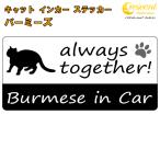  балка mi-zburmese in Car стикер принт модель Cat in Car кошка in машина кошка наклейка переводная картинка 