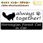 noru way Jean forest кошка norwegian forest cat in Car стикер принт модель Cat in Car кошка in машина кошка наклейка переводная картинка 
