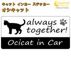 osi кошка ocicat in Car стикер принт модель Cat in Car кошка in машина кошка наклейка переводная картинка 