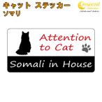 so Мали in house стикер кошка cat in house кошка наклейка предотвращение преступления somali