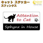 s ласты k acid n house стикер кошка cat in house кошка наклейка предотвращение преступления sphynx