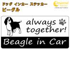  Beagle beagle in Car стикер принт модель dog in cardo Guin машина собака наклейка переводная картинка 