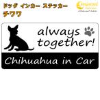  чихуахуа chihuahua in Car стикер принт модель dog in cardo Guin машина собака наклейка переводная картинка 
