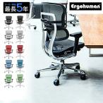 エルゴヒューマン オフィスチェア ゲーミングチェア EHP2-LAM エルゴヒューマンプロ2ロータイプ Ergohuman t001-elg-ehp2-lam-ch