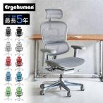 エルゴヒューマンプロ2ハイタイプ EHP2-HAM オフィスチェア ゲーミングチェア 在宅 Ergohuman t001-elg-ehp2-ham-ch