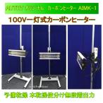 AUTRY(ichinen доступ ) оригинал карбоновый обогреватель AIMK-1 100V покраска сушильная машина бесплатная доставка наложенный платеж не возможно 