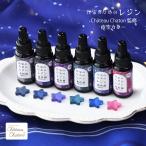 chateau chaton かのん監修 作家のためのレジン 「着色剤 濃縮カラーレジン10g 夜空カラー6色」セット