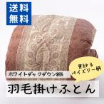 ハンガリー産ホワイトダック８５％羽...