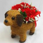 フラワーアレンジメント（わんちゃんバスケット） 犬と赤いカーネーション