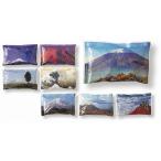 ケース販売のみ・６０