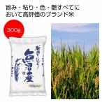 ケース販売のみ・５０