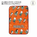 ケース販売・80枚以上でご注文下さい(数量未満はストアへ要相談)　スヌーピーライン デイリーブランケット　送料無料
