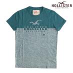 HOLLISTER ホリスター メンズ Tシャツ HOLLISTER CALIFORNIA ヘザー ブルー グリーン アメカジ サーフ ブランド ファッション インポート 125
