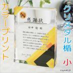 名入れ ギフト プレゼント クリスタル盾 DP-17C 小 フルカラープリント 表彰楯 記念品 感謝状 お祝い 社内表彰 表彰状 認定証