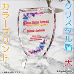 盾 クリスタル盾 カラープリント 表彰楯 記念品 感謝状 お祝い 父の日 社内表彰 表彰状 認定証 DP-1A