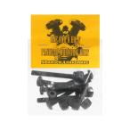 NIBANSENJI BOLT 2 номер .. болт ( плюс )1-1/2 дюймовый PANHEAD MOUNTING BOLT BLACK скейтборд скейтборд 