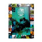 MAGENTA DVD пурпурный HEADQUARTERS скейтборд скейтборд 