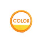 COLOR COMMUNICATIONS PATCH カラーコミュニケーションズ ワッペン CIRCLE INK YELLOW スケートボード スケボー