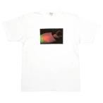 ショッピングreflection COLOR COMMUNICATIONS T-SHIRT カラーコミュニケーションズ Tシャツ REFLECTION TOWER PHOTO WHITE スケートボード スケボー