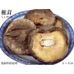 ... пол культивирование для бизнеса 500g