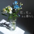 ショッピング花瓶 花瓶 おしゃれ フロートベース Float Vase ガラス おしゃれ 北欧 一輪挿し 花入 花入れ ドライフラワー 花器 花生け 洋風 ポット 花立て クッチーナ