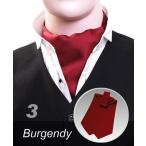  пластрон галстук балка gun ti- одноцветный 