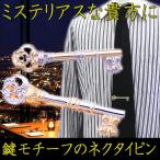 タイピン ネクタイピン ストーンもキラリ 秘密の鍵モチーフ シルバー タイピン全2色 メンズ プレゼント カフスマニア