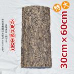 ���C���@30�~60cm�@�R���N����@�R���N�@�o�[�W���R���N�@�`�����W�A�@�r�J�N�V�_�@���������@����঒��ށ@�R�E���������@�t